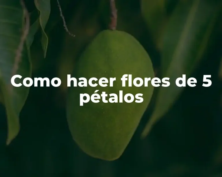 Como hacer flores de 5 pétalos