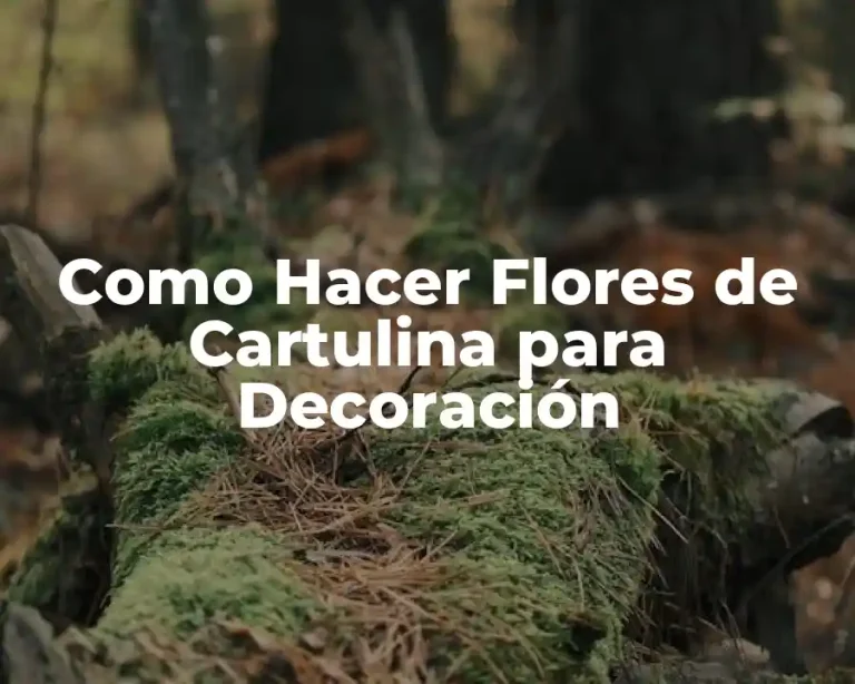 Como Hacer Flores de Cartulina para Decoración