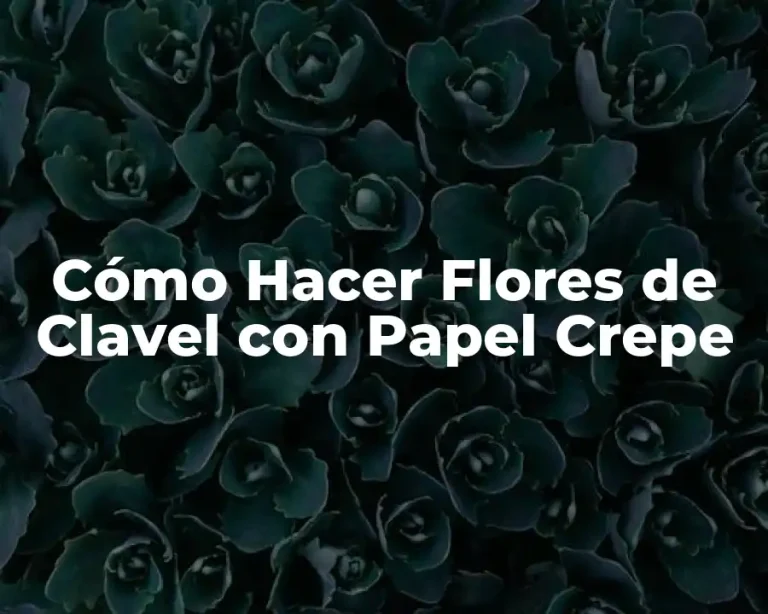 Cómo Hacer Flores de Clavel con Papel Crepe