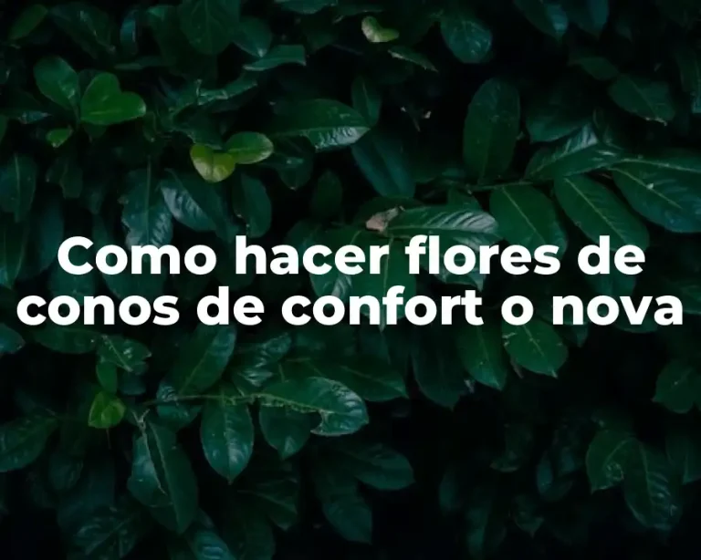 Como hacer flores de conos de confort o nova