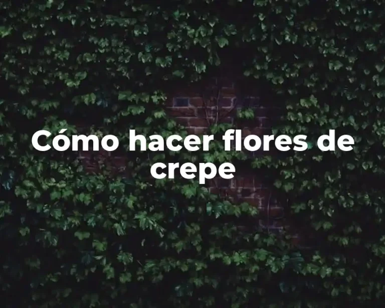 Cómo hacer flores de crepe
