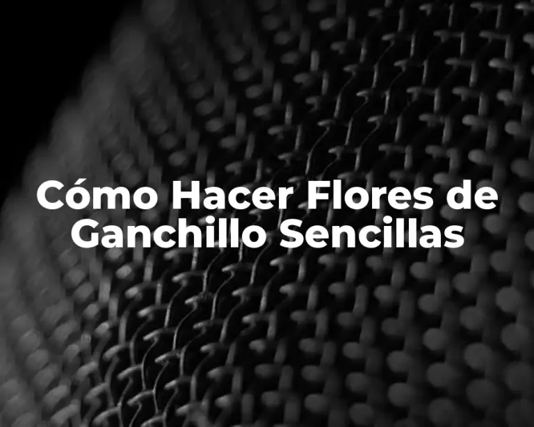 Cómo Hacer Flores de Ganchillo Sencillas