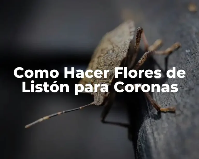 Como Hacer Flores de Listón para Coronas