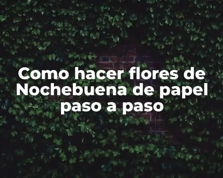 Como hacer flores de Nochebuena de papel paso a paso