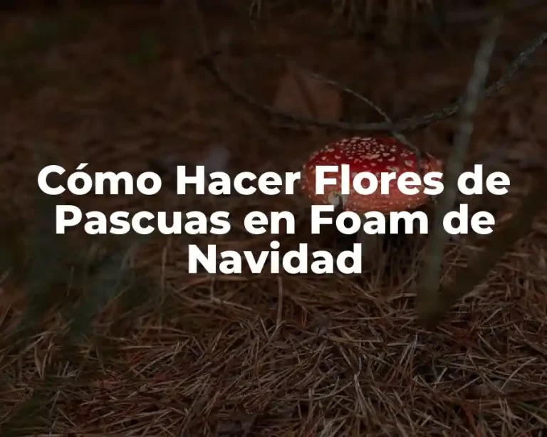 Cómo Hacer Flores de Pascuas en Foam de Navidad