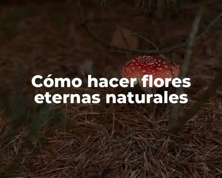 Cómo hacer flores eternas naturales