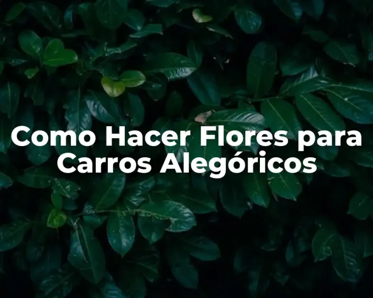 Como Hacer Flores para Carros Alegóricos