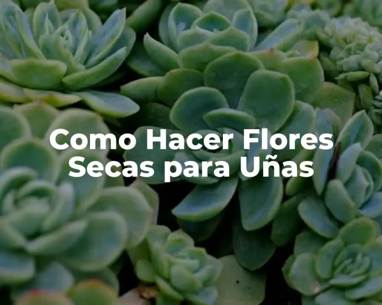 Como Hacer Flores Secas para Uñas