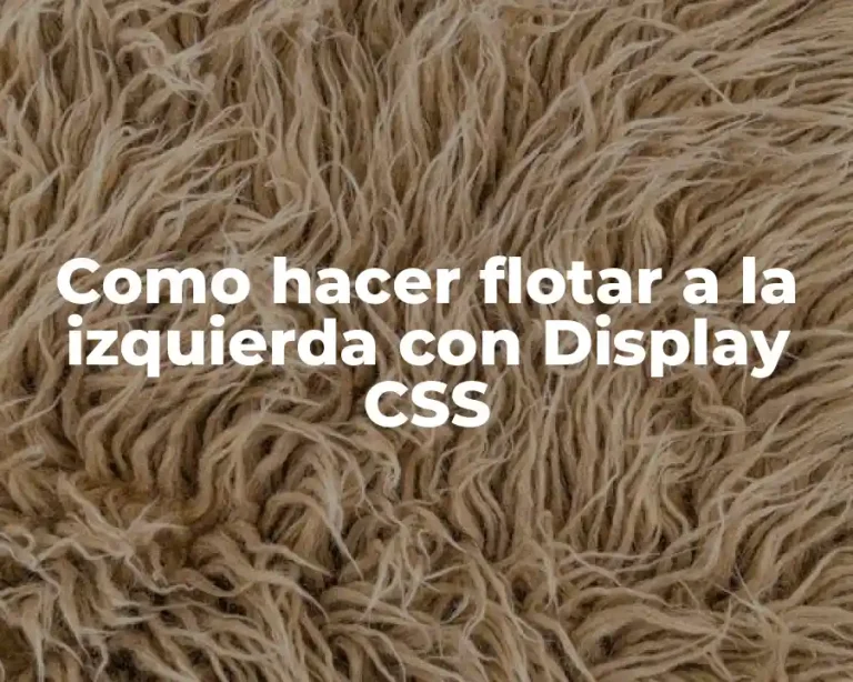 Como hacer flotar a la izquierda con Display CSS