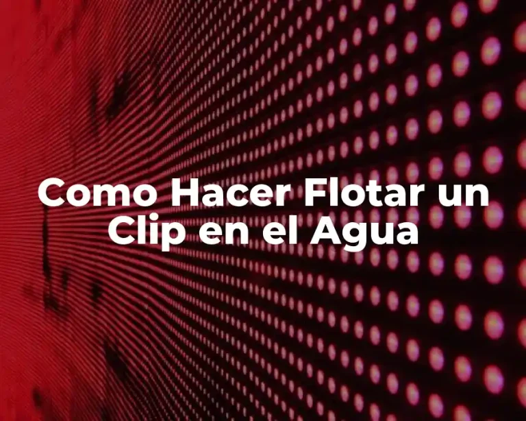 Como Hacer Flotar un Clip en el Agua