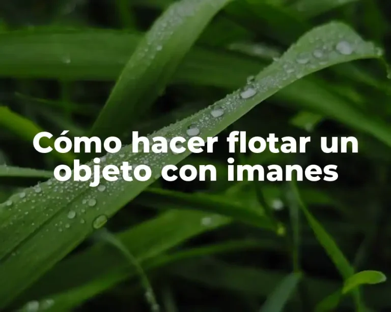 Cómo hacer flotar un objeto con imanes
