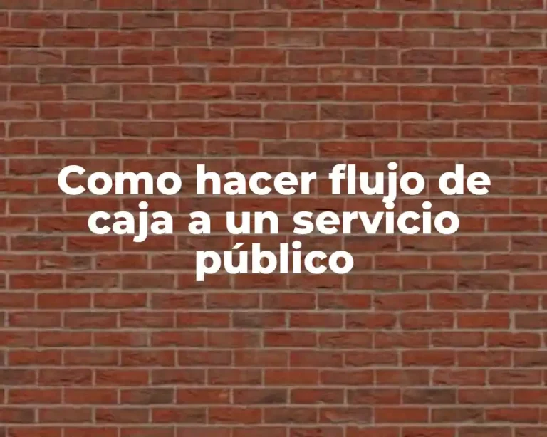Como hacer flujo de caja a un servicio público