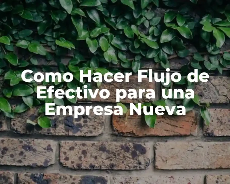 Como Hacer Flujo de Efectivo para una Empresa Nueva