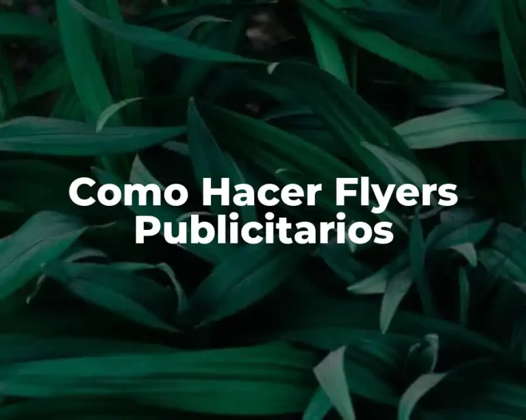 Como Hacer Flyers Publicitarios
