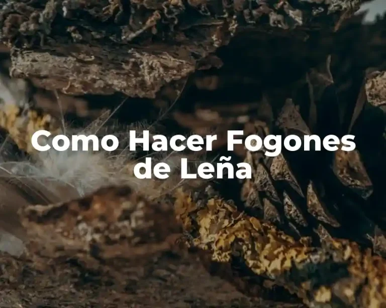 Como Hacer Fogones de Leña