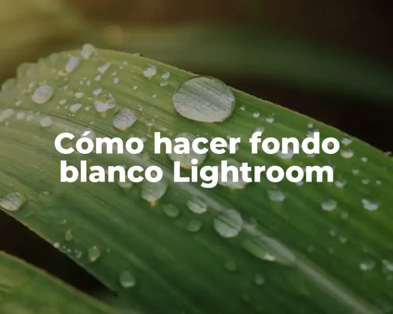 Cómo hacer fondo blanco Lightroom