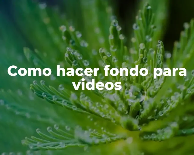 Como hacer fondo para videos