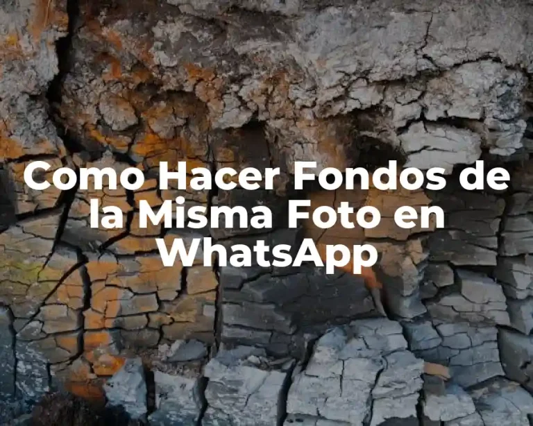 Como Hacer Fondos de la Misma Foto en WhatsApp