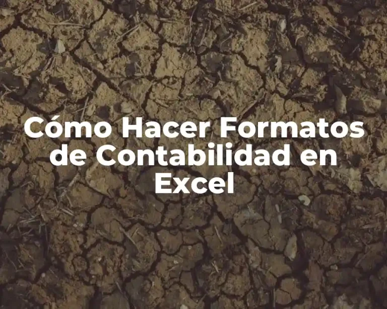 Cómo Hacer Formatos de Contabilidad en Excel