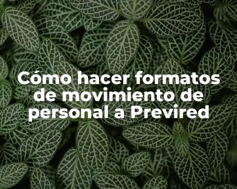 Cómo hacer formatos de movimiento de personal a Previred