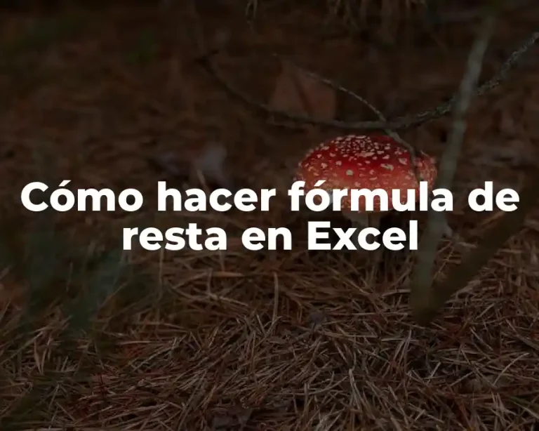 Cómo hacer fórmula de resta en Excel