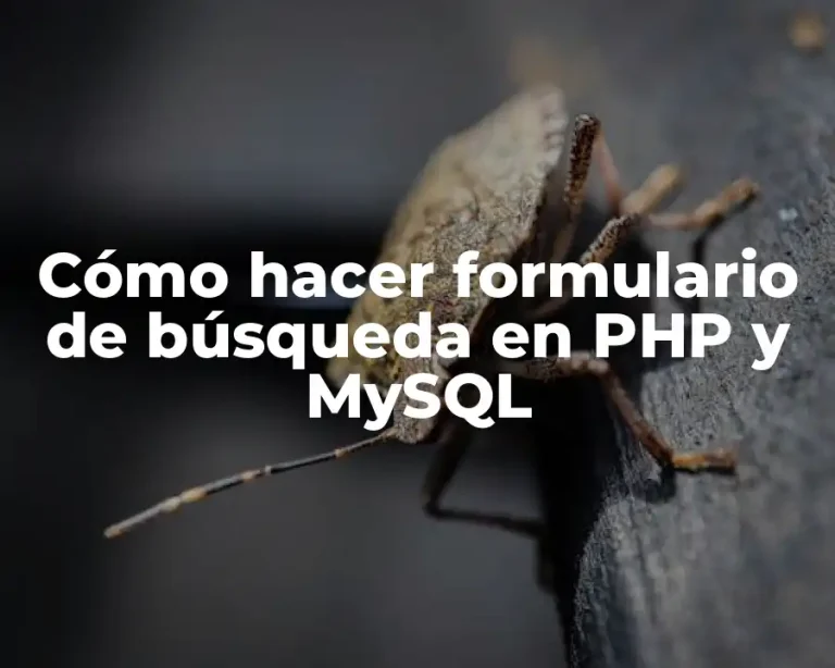 Cómo hacer formulario de búsqueda en PHP y MySQL