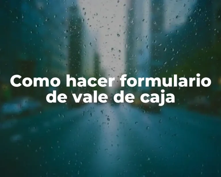Como hacer formulario de vale de caja