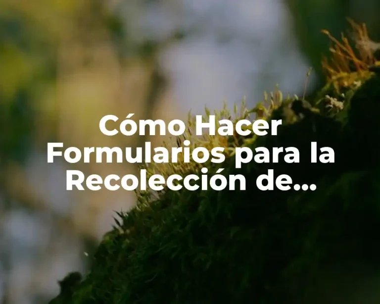 Cómo Hacer Formularios para la Recolección de Hortalizas