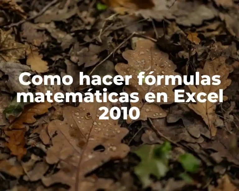 Como hacer fórmulas matemáticas en Excel 2010