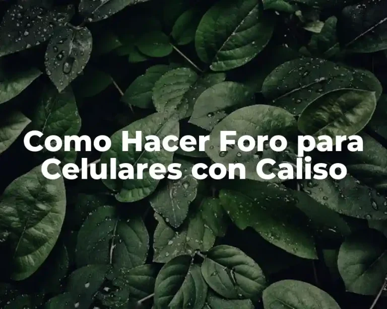 Como Hacer Foro para Celulares con Caliso