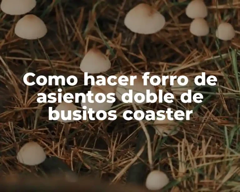 Como hacer forro de asientos doble de busitos coaster