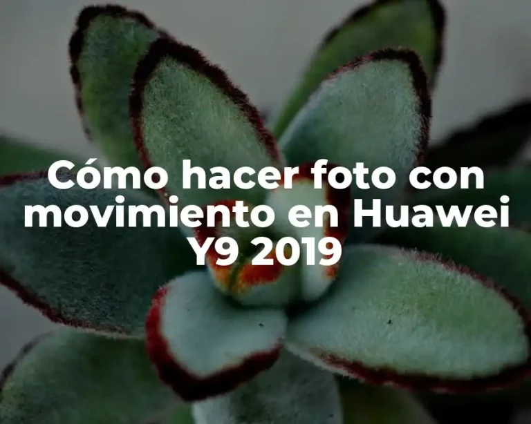 Cómo hacer foto con movimiento en Huawei Y9 2019