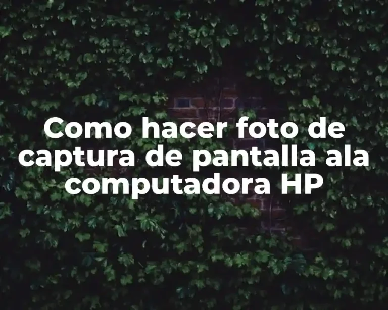 Como hacer foto de captura de pantalla ala computadora HP