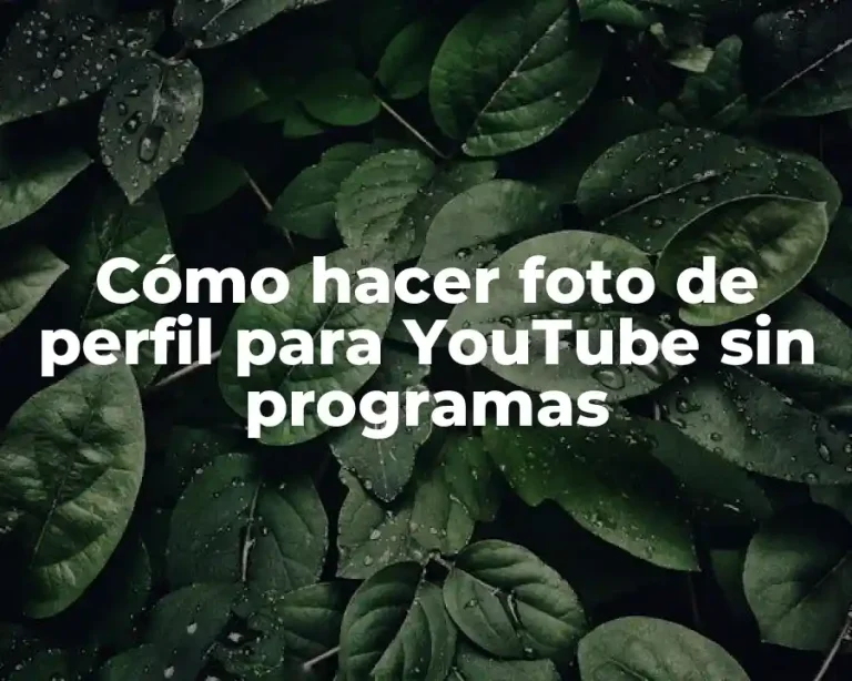 Cómo hacer foto de perfil para YouTube sin programas