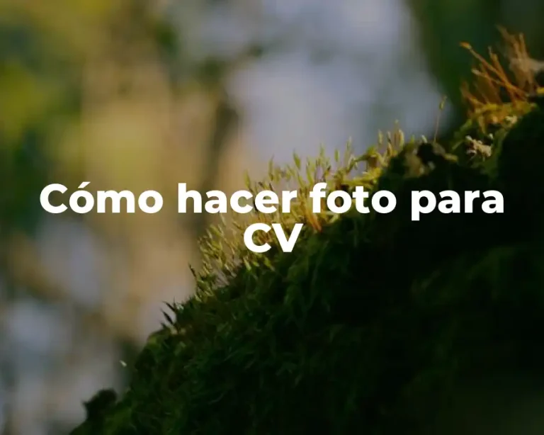 Cómo hacer foto para CV