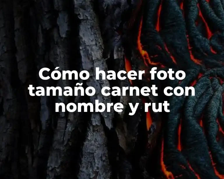 Cómo hacer foto tamaño carnet con nombre y rut