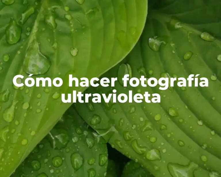 Cómo hacer fotografía ultravioleta