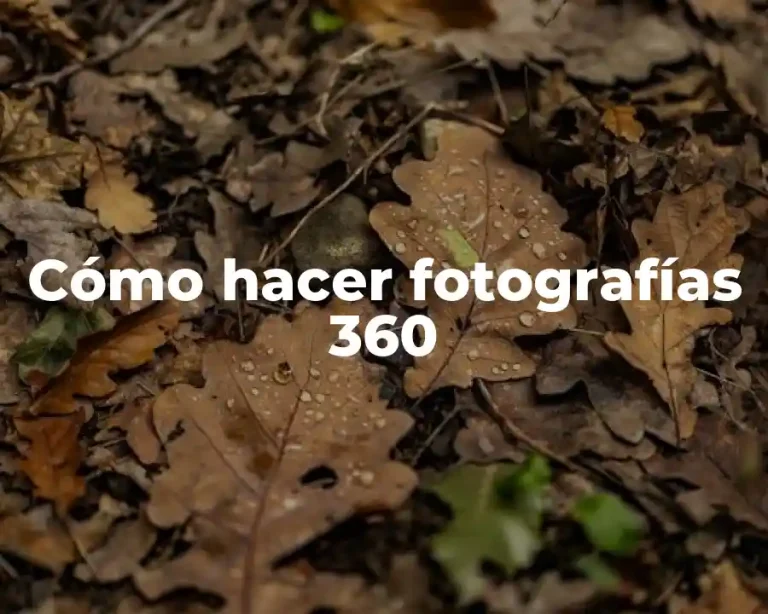 Cómo hacer fotografías 360