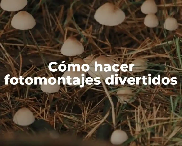 Cómo hacer fotomontajes divertidos