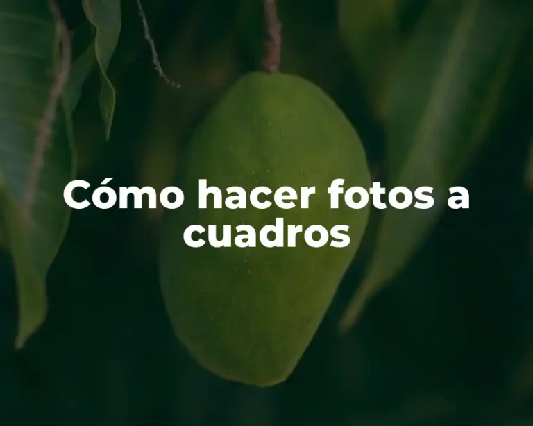 Cómo hacer fotos a cuadros