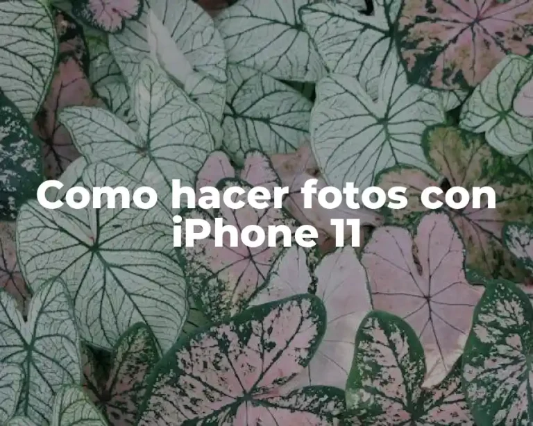 Como hacer fotos con iPhone 11