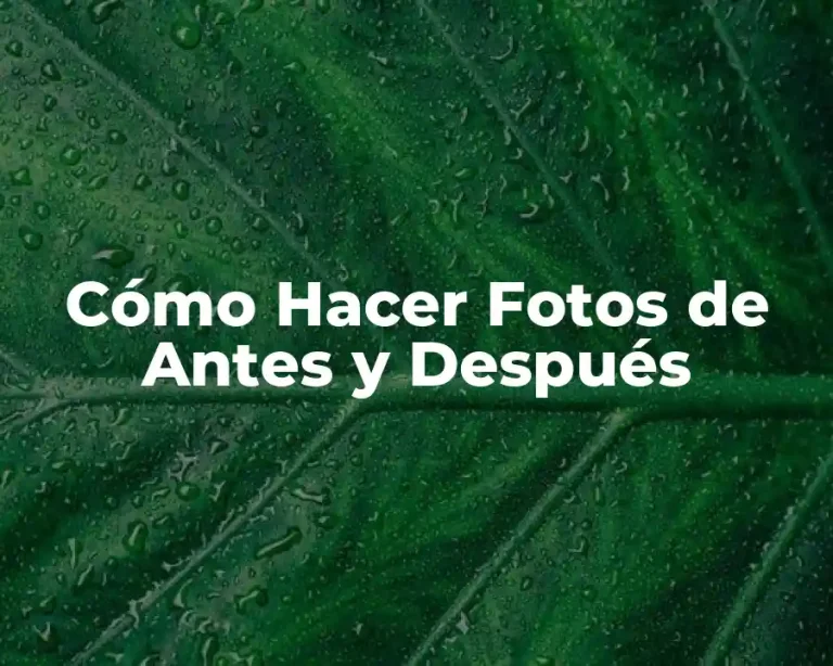 Cómo Hacer Fotos de Antes y Después