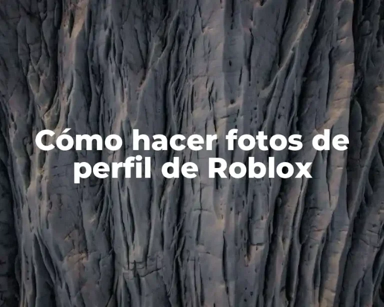 Cómo hacer fotos de perfil de Roblox