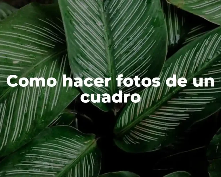 Como hacer fotos de un cuadro