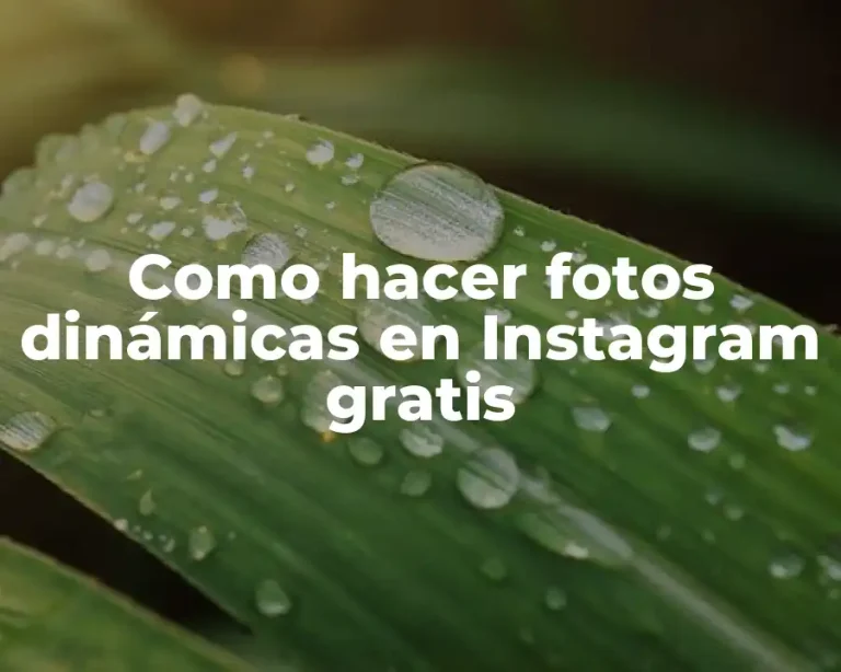 Como hacer fotos dinámicas en Instagram gratis
