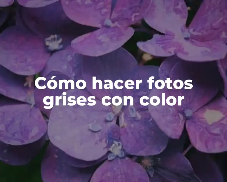 Cómo hacer fotos grises con color