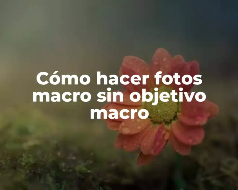 Cómo hacer fotos macro sin objetivo macro