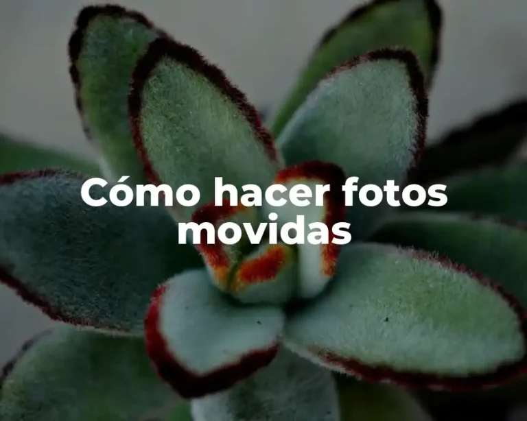 Cómo hacer fotos movidas