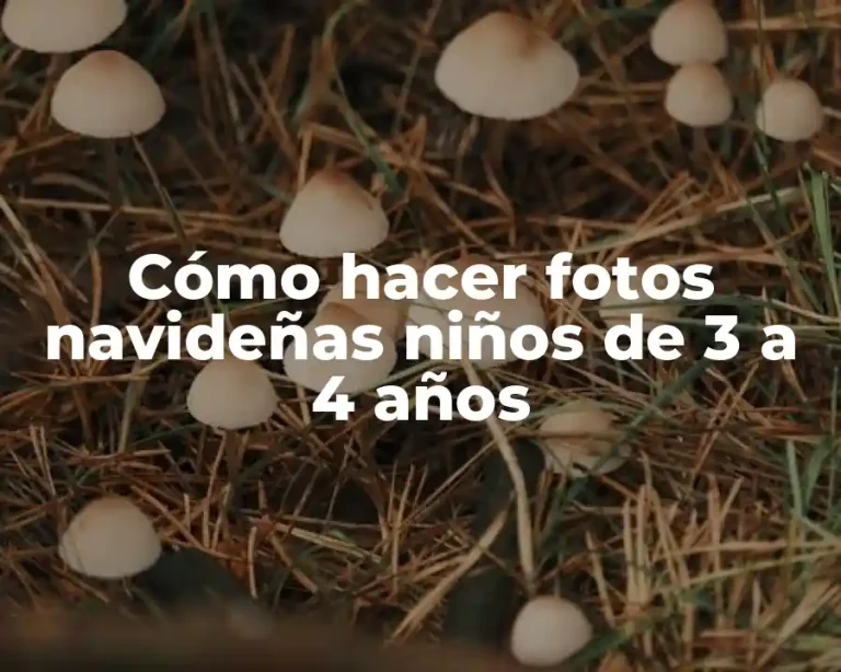 Cómo hacer fotos navideñas niños de 3 a 4 años