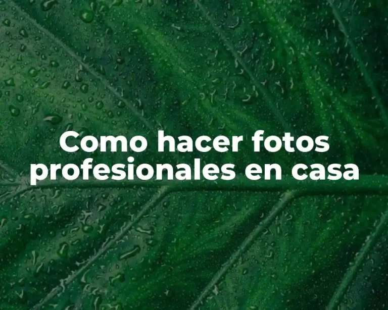 Como hacer fotos profesionales en casa